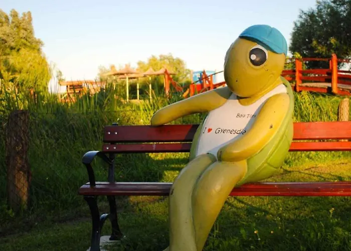 In - Balaton 33973 Prázdninový dům Gyenesdiás