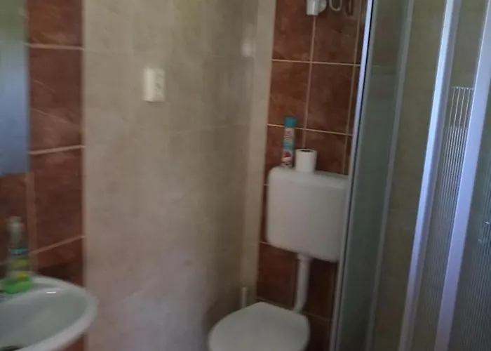 In - Balaton 33973 *